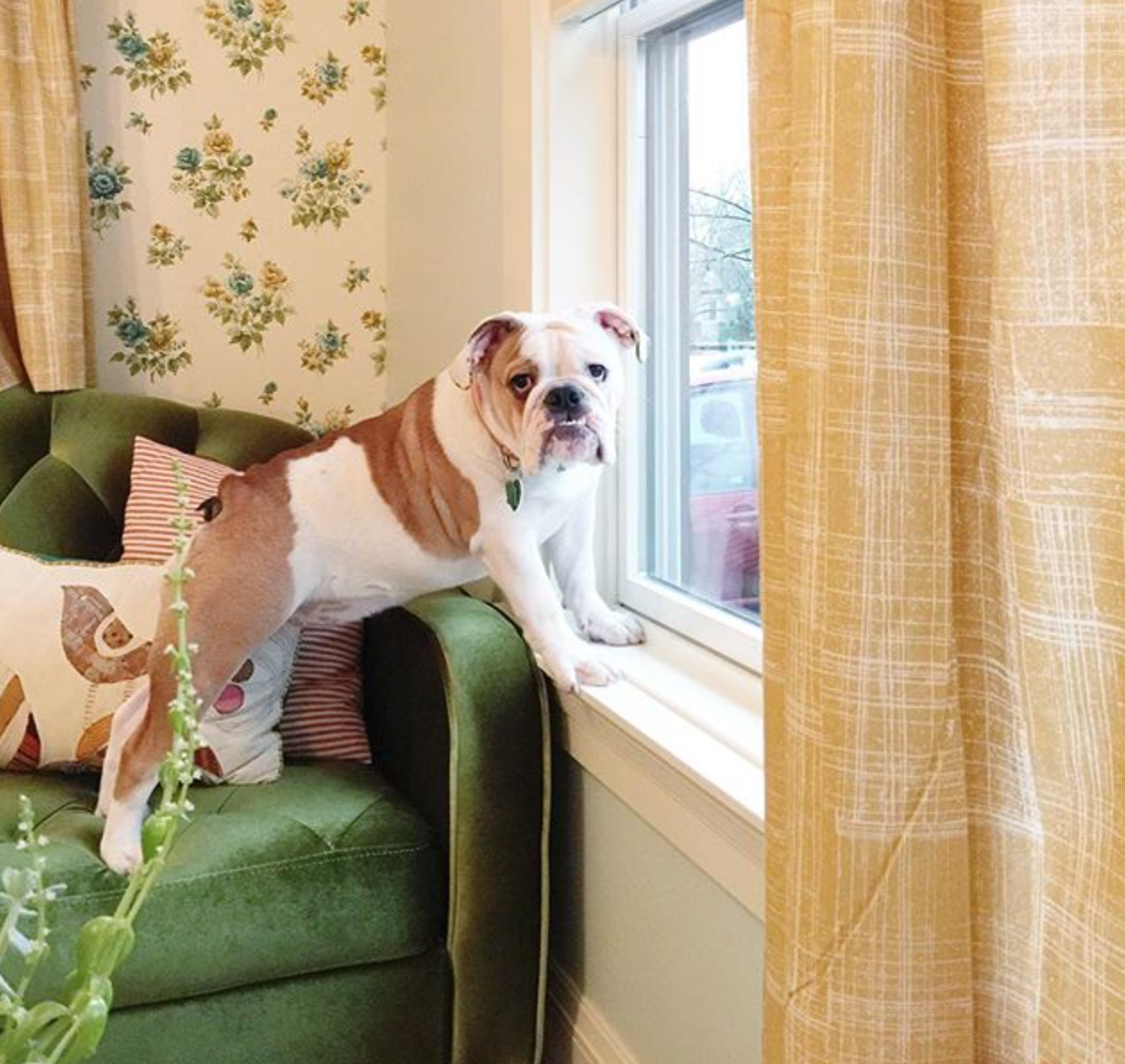 Weekly Update – Is It Spring Yet?