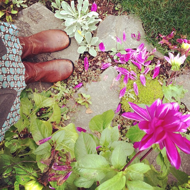 I love our stepping stone garden right now.