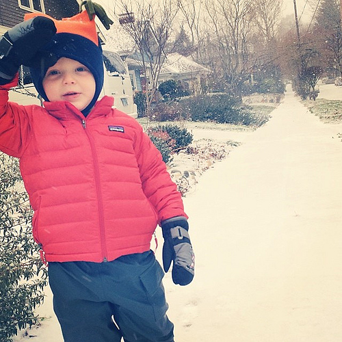 Rare snow day today in Portland and somebody was THRILLED. #trueelioorlando